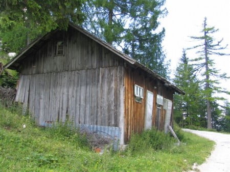 The dog house nearby Erjavčeva's mountain hut