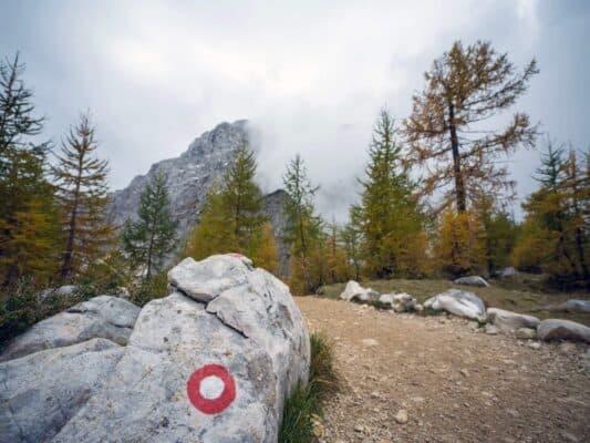 Szikla útjelzővel az erdő és hegyi táj előtt, túraútvonal az Erjavčeva hegyi kunyhó közelében, Szlovénia.