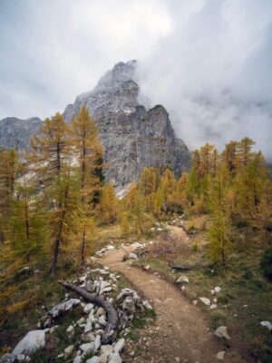 Festői hegyi ösvény, amely az Erjavčeva hegyi kunyhóhoz vezet, a háttérben őszi fákkal és egy zord hegycsúccsal.