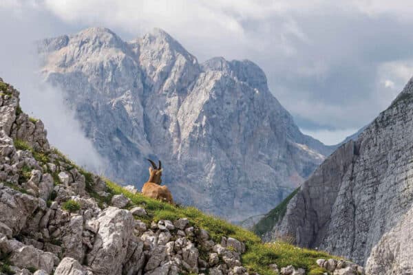 A hegyek között 2026 naptár